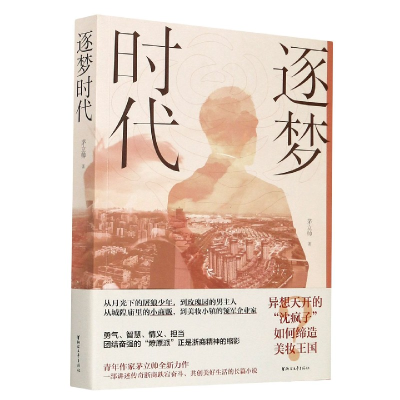 音像逐梦时代茅立帅著