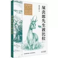 音像屎壳郎先生波比拉保冬妮