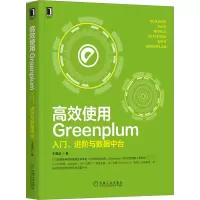 音像高效使用Greenplum:入门、进阶与数据中台王春波 著