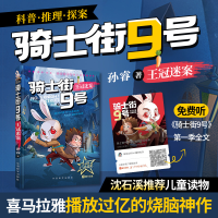 音像骑士街9号·王冠迷案孙睿