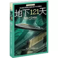 音像地下121天/长青藤国际大奖小说书系费利斯·霍尔曼