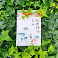 音像银顶针的夏天(20)伊丽莎白·恩赖特