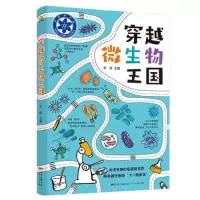音像穿越微生物王国李辉