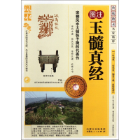 音像图注玉髓真经/传统数术名家精粹(宋)张子微