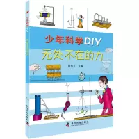 音像无处不在的力/少年科学DIY段伟文