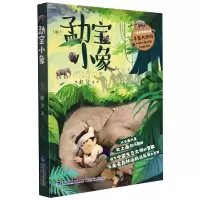 音像勐宝小象湘女