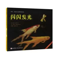 音像闪闪发光(美)伊夫·邦廷著
