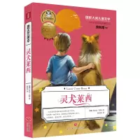 音像灵犬莱西/国际大奖儿童文学天地出版社