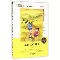 音像屋顶上的月光(彩绘版)/中国儿童文学名家作品董宏猷