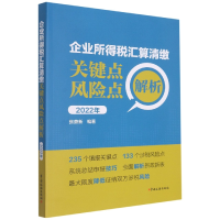 音像企业所得税汇算清缴关键点风险点解析(2022年)张鼎新编著