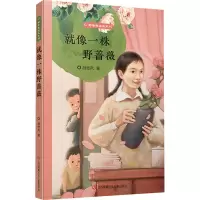 音像野蔷薇成长系列-就像一株野蔷薇胡继风
