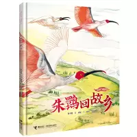 音像朱鹮回故乡保冬妮