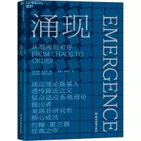 音像涌现(美)约翰·霍兰德