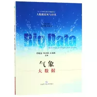 音像气象大数据/大数据技术与应用徐继业 朱洁华 王海彬