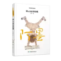 音像男孩阿墨系列:骑云而来的鹰叶梦