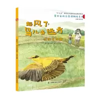 音像起风了,鸟儿去远方:迁徙鸟观察王军馥
