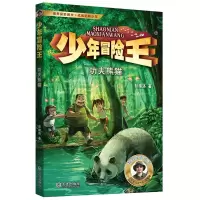音像少年冒险王·功夫熊猫(升级版)彭绪洛 著