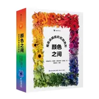 音像颜色之间:用花朵捕捉的色彩达罗克·帕特南