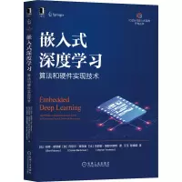 音像嵌入式深度学习:算法和硬件实现技术