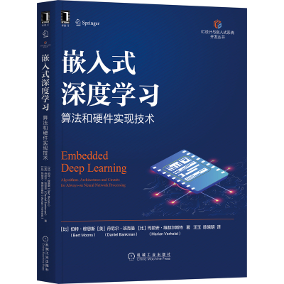 音像嵌入式深度学习:算法和硬件实现技术