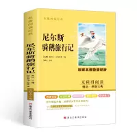 音像尼尔斯骑鹅旅行记拉格洛夫
