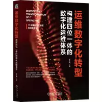 音像运维数字化转型:构建四位一体的数字化运维体系彭华盛 著