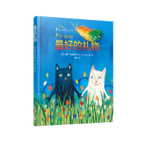音像的礼物(译文童书绘本馆)[英]彼得·霍拉赛克著蔡粤译