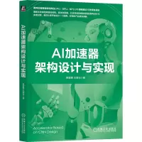 音像AI加速器架构设计与实现甄建勇 王路业 著