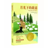 音像月光下的歌谣——纽伯瑞大奖小说!(新)(美)斯科特·奥台尔