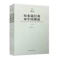 音像如来藏经典与中国(上下)杨维中