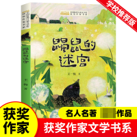 音像全国儿童文学奖获奖作家书系--鼹鼠的迷宫王一梅