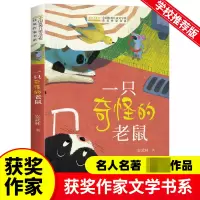 音像一只奇怪的老鼠安武林