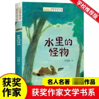 音像全国儿童文学奖获奖作家书系--水里的怪物安武林