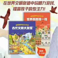 音像惊奇世界专注力大书(全2册)达·范妮