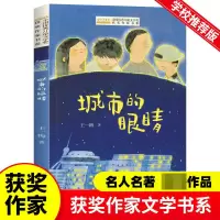 音像全国儿童文学奖获奖作家书系--城市的眼睛王一梅