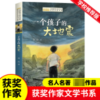 音像全国儿童文学奖获奖作家书系--一个孩子的大地震谷应