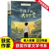 音像全国儿童文学奖获奖作家书系--一个孩子的大地震谷应