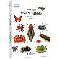 音像奇异的节肢动物玛丽亚·桑切斯·瓦迪洛
