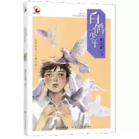 音像白鸽少年/金凤凰名家原创儿童小说书系董宏量