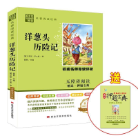 音像洋葱头历险记罗大里