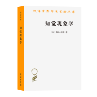 音像知觉现象学/汉译世界学术名著丛书[法]梅洛庞蒂