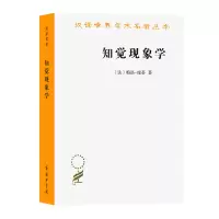 音像知觉现象学/汉译世界学术名著丛书[法]梅洛庞蒂