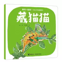 音像藏猫猫一念 著 田宇 吕爱明 赵晓琦 尹德馨绘