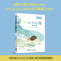 音像小小的海[日]岩濑成子 著 赵玉皎 译
