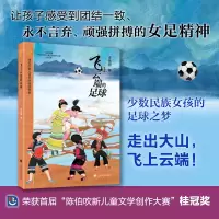 音像飞上云端的足球(陈伯吹新儿童文学桂冠书系)李艳丽