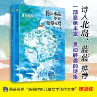 音像你是水晶、冬天、葡萄和鸟(陈伯吹新儿童文学桂冠书系)高源