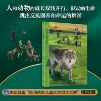 音像会跳舞的狼(陈伯吹新儿童文学桂冠书系)柏舟