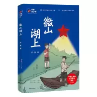 音像中国好少年-微山湖上:彩插版邱勋 著 刘珍 赏析