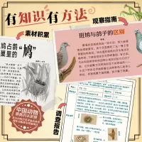 音像中国动物很高兴认识你(全4册)米莱童书 著绘