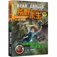 音像巨蚺峡谷的岩崩求生(拓展版)/荒野求生少年生存小说系列